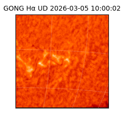 gong - 2026-03-05T10:00:02