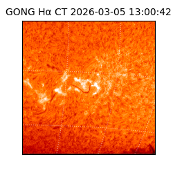 gong - 2026-03-05T13:00:42