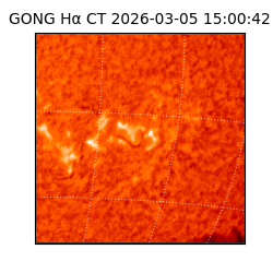 gong - 2026-03-05T15:00:42