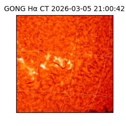 gong - 2026-03-05T21:00:42