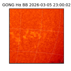 gong - 2026-03-05T23:00:02