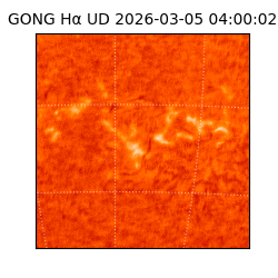 gong - 2026-03-05T04:00:02