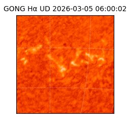 gong - 2026-03-05T06:00:02