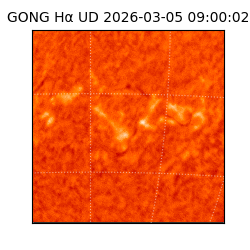 gong - 2026-03-05T09:00:02