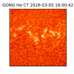 gong - 2026-03-05T16:00:42