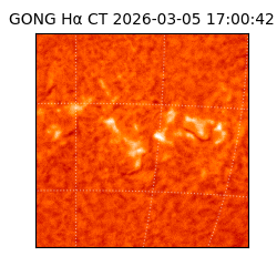 gong - 2026-03-05T17:00:42