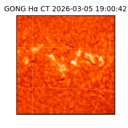 gong - 2026-03-05T19:00:42