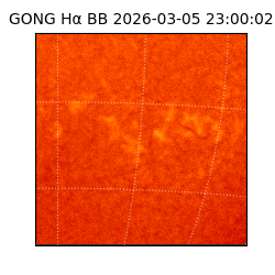 gong - 2026-03-05T23:00:02