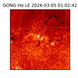 gong - 2026-03-05T01:02:42