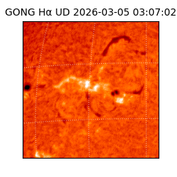 gong - 2026-03-05T03:07:02