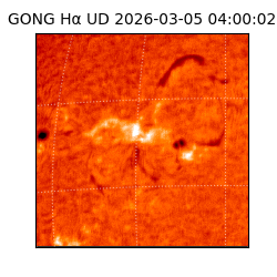 gong - 2026-03-05T04:00:02