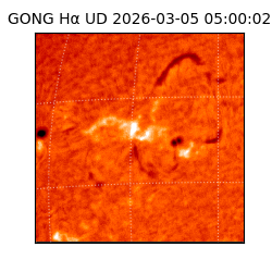 gong - 2026-03-05T05:00:02