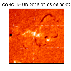 gong - 2026-03-05T06:00:02