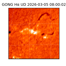 gong - 2026-03-05T08:00:02