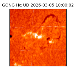 gong - 2026-03-05T10:00:02