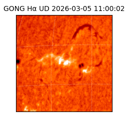 gong - 2026-03-05T11:00:02