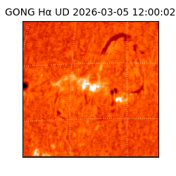 gong - 2026-03-05T12:00:02