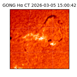 gong - 2026-03-05T15:00:42