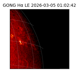 gong - 2026-03-05T01:02:42