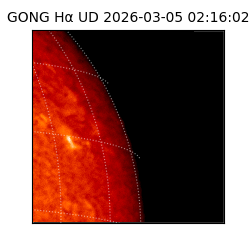 gong - 2026-03-05T02:16:02