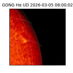 gong - 2026-03-05T08:00:02