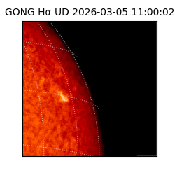 gong - 2026-03-05T11:00:02