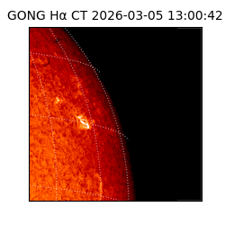 gong - 2026-03-05T13:00:42