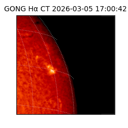 gong - 2026-03-05T17:00:42