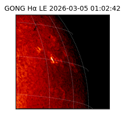 gong - 2026-03-05T01:02:42