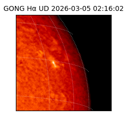 gong - 2026-03-05T02:16:02