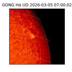 gong - 2026-03-05T07:00:02