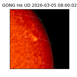 gong - 2026-03-05T08:00:02