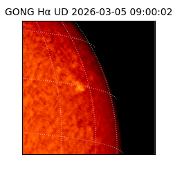 gong - 2026-03-05T09:00:02