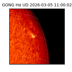gong - 2026-03-05T11:00:02