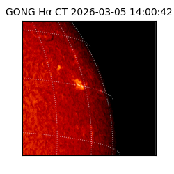 gong - 2026-03-05T14:00:42