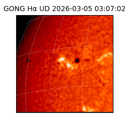 gong - 2026-03-05T03:07:02
