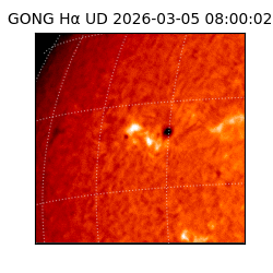 gong - 2026-03-05T08:00:02