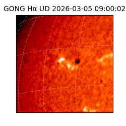 gong - 2026-03-05T09:00:02