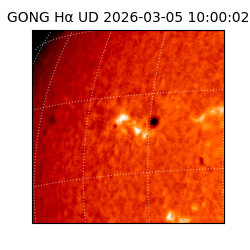 gong - 2026-03-05T10:00:02