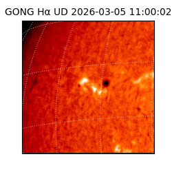 gong - 2026-03-05T11:00:02