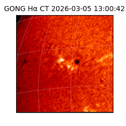 gong - 2026-03-05T13:00:42