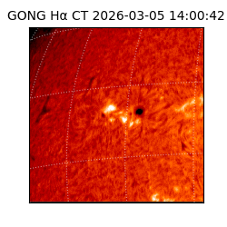 gong - 2026-03-05T14:00:42