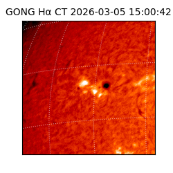 gong - 2026-03-05T15:00:42