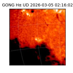 gong - 2026-03-05T02:16:02