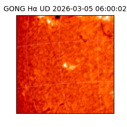 gong - 2026-03-05T06:00:02