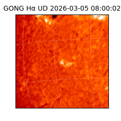 gong - 2026-03-05T08:00:02