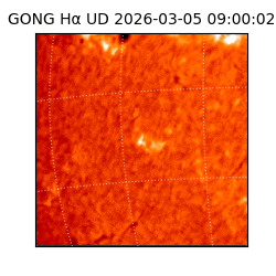 gong - 2026-03-05T09:00:02