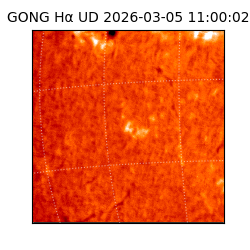 gong - 2026-03-05T11:00:02