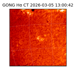 gong - 2026-03-05T13:00:42