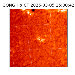 gong - 2026-03-05T15:00:42